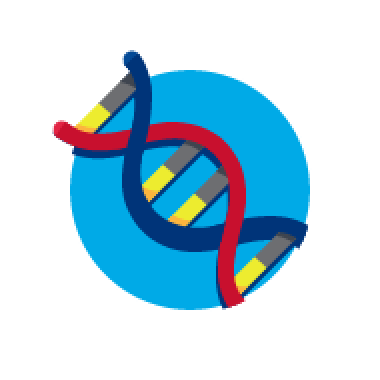  Icon of genetic helix representing family hisotry if Heart Disease, PAD or Stroke is a risk factors for PAD