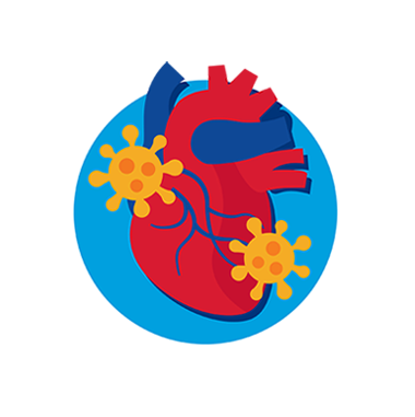 Icon representing a heart, valves and arteries 